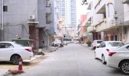 新安县最新爆料,揭秘神秘事件背后的真相